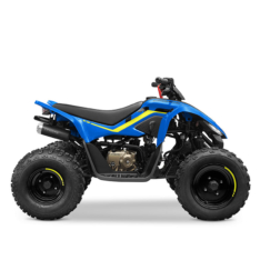 CFmoto Cforce 110