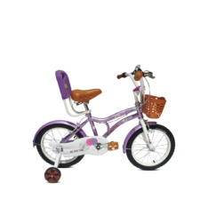 دوچرخهKavir 3301 - 16