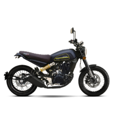 اس تی سه Kavir ST3 220