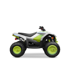 CFmoto Cforce EV 110