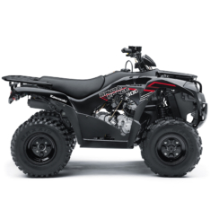 Kawasaki Brute Force 300